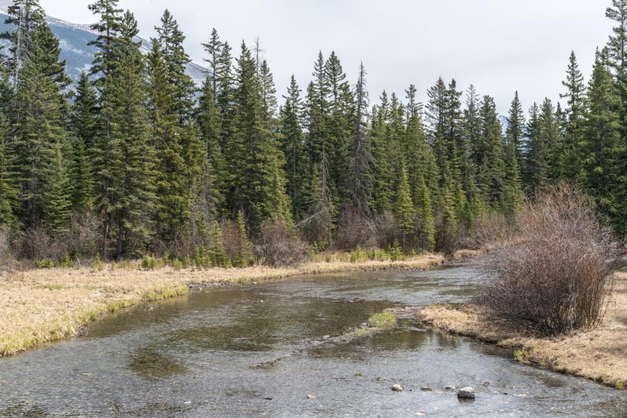 Spring Creek Luxury King One Bedroom At White Spruce Lodge Canmore Exteriör bild